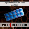 Africa Black Ant Capsule viagra1